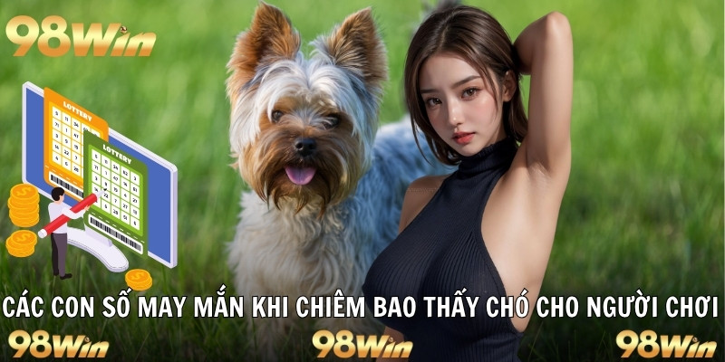 Các con số may mắn khi chiêm bao thấy chó cho người chơi