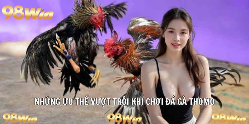 Ưu điểm khi tham gia cược gà thomo 98win