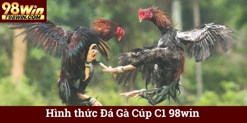 Đá Gà Cúp C1 98win 🐓 Trực Tuyến, Tỷ Lệ Kèo Hấp Dẫn 5 Hình thức Đá Gà Cúp C1 98win
