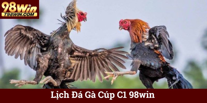 Đá Gà Cúp C1 98win 🐓 Trực Tuyến, Tỷ Lệ Kèo Hấp Dẫn 6 Lịch Đá Gà Cúp C1 98win